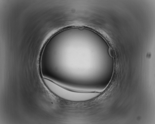 X0000100341183200806121144