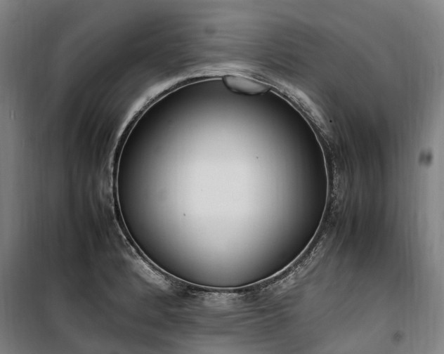 X0000100341184200806121144