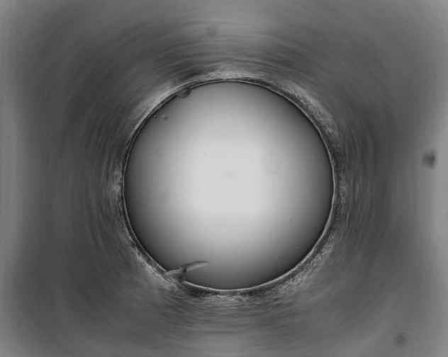 X0000100341185200806121144