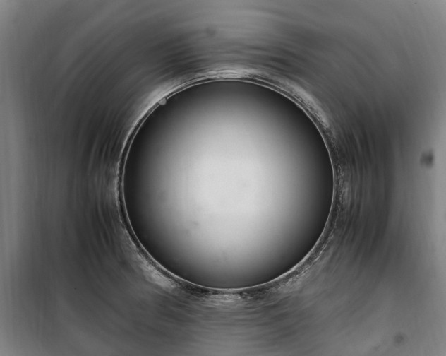 X0000100341186200806121143