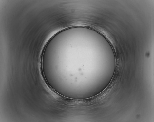 X0000100341187200806121143