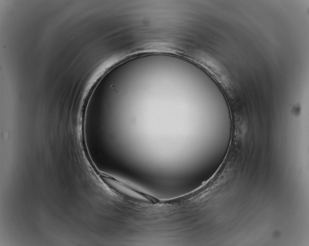 X0000100341188200806121143