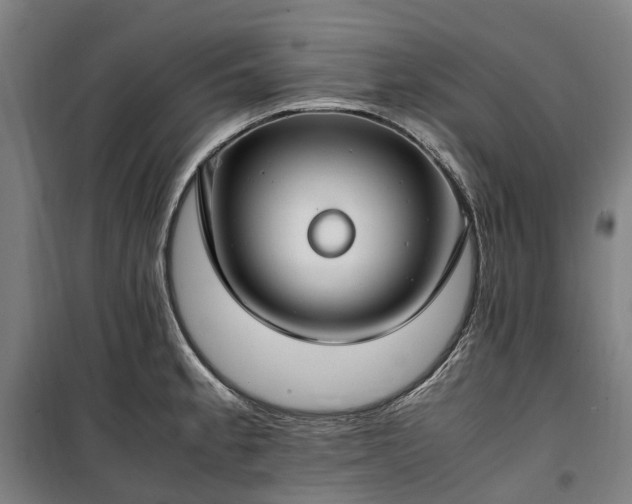 X0000100341189200806121143