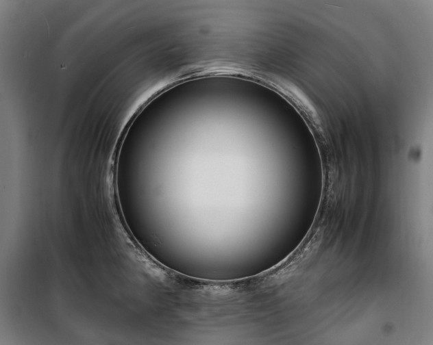 X0000100341190200806121143