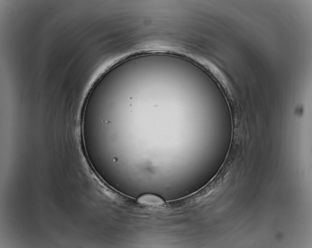 X0000100341191200806121143