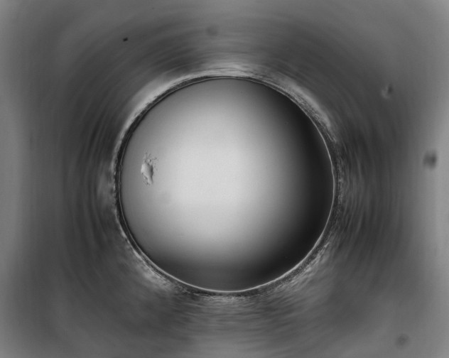 X0000100341192200806121143