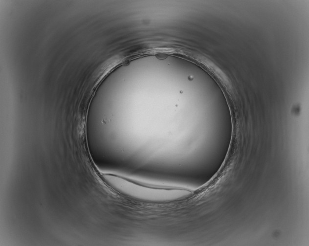 X0000100341193200806121143