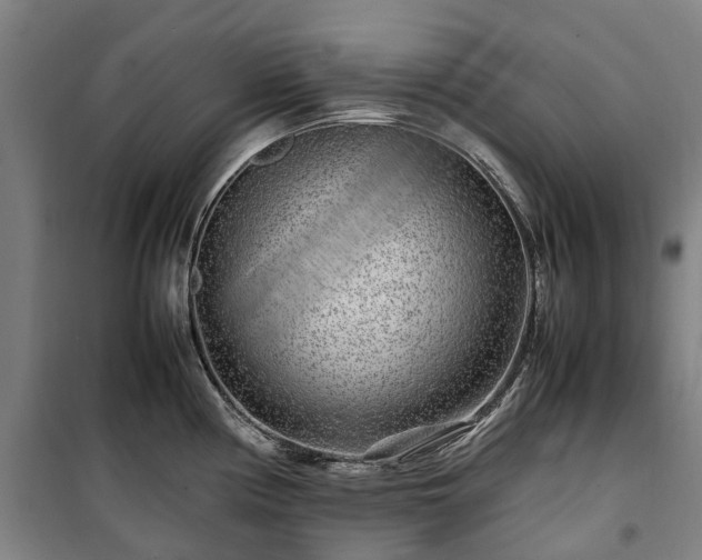 X0000100341194200806121143