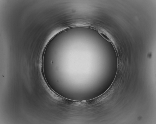 X0000100341195200806121143