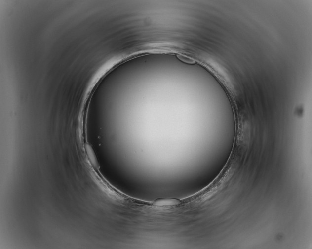 X0000100341196200806121143