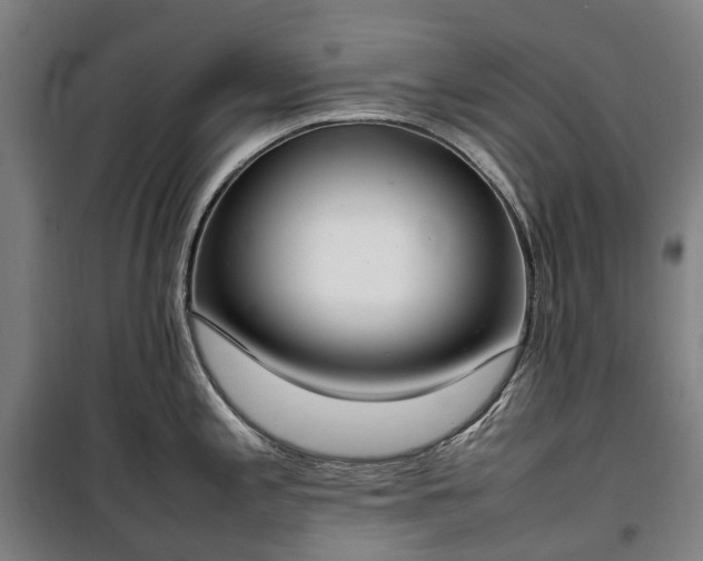 X0000100341197200806121143