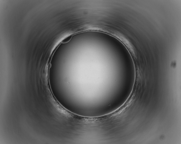 X0000100341198200806121143