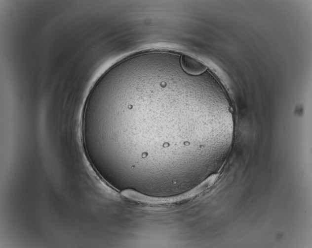 X0000100341199200806121143