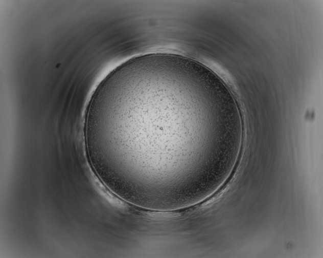 X0000100341200200806121143