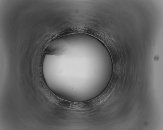 X0000100341201200806121143