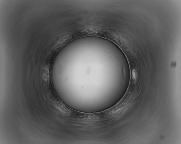 X0000100341203200806121143