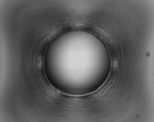 X0000100341204200806121143