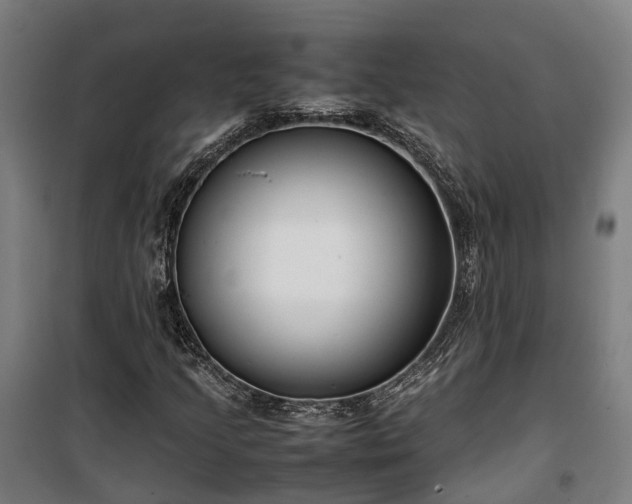 X0000100341205200806121143