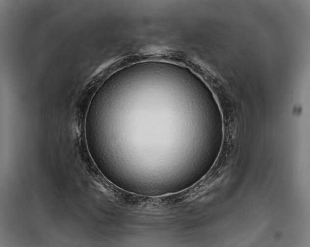 X0000100341206200806121143