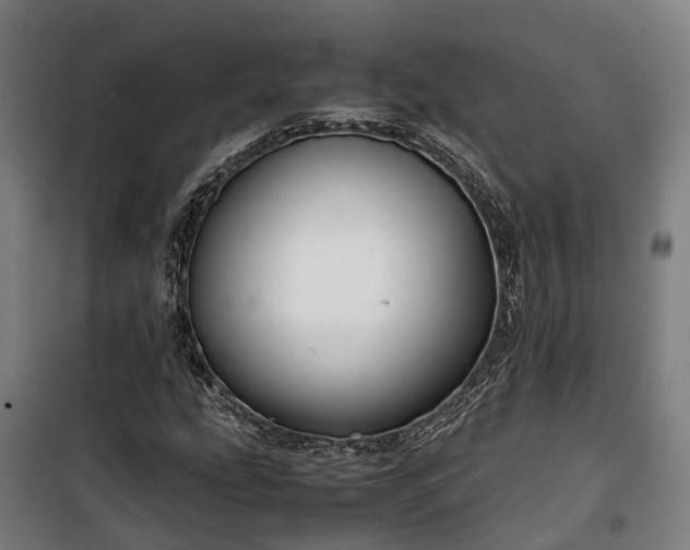 X0000100341207200806121143