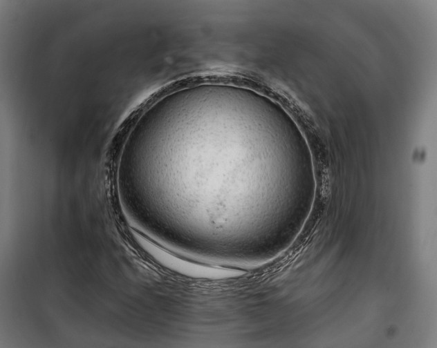 X0000100341208200806121143