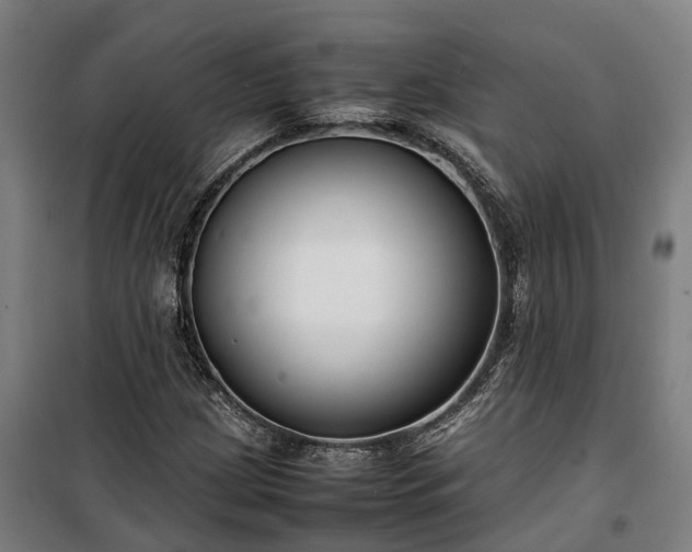 X0000100341209200806121143