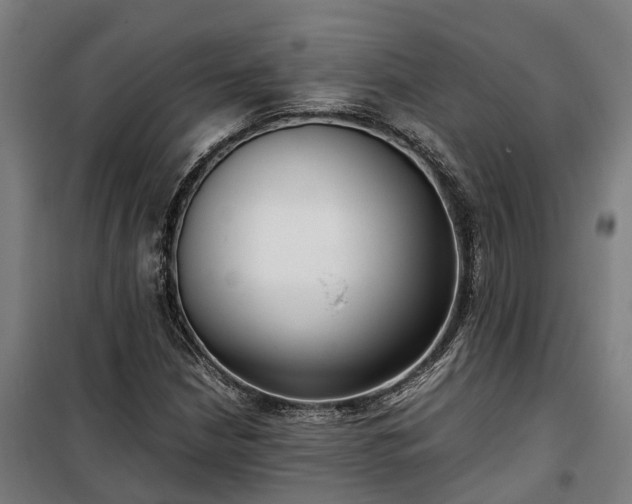 X0000100341210200806121143