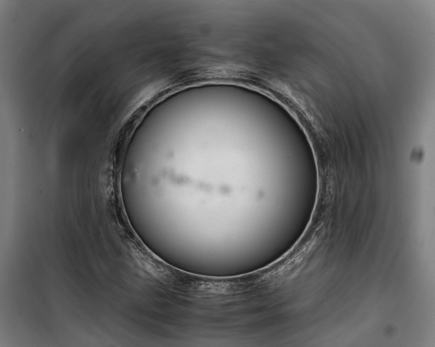 X0000100341211200806121143