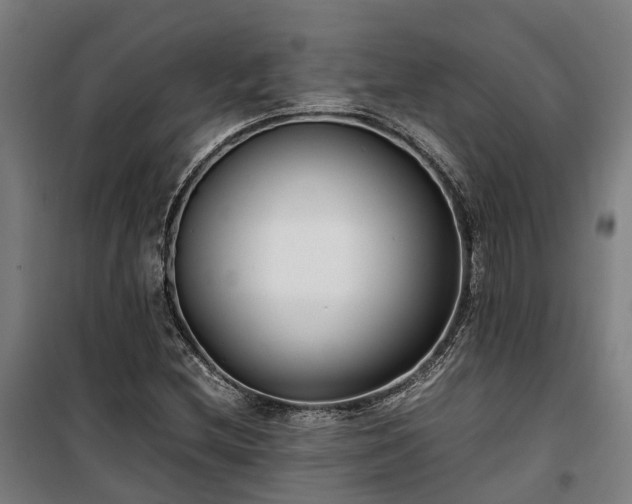 X0000100341212200806121143