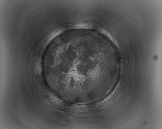 X0000100341213200806121143