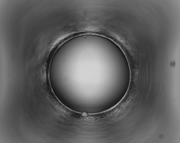 X0000100341214200806121143