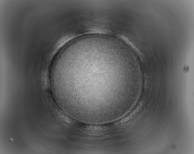 X0000100341215200806121143