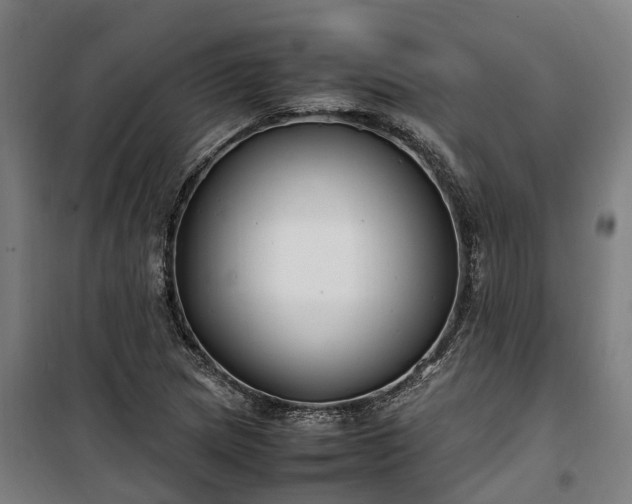 X0000100341217200806121143