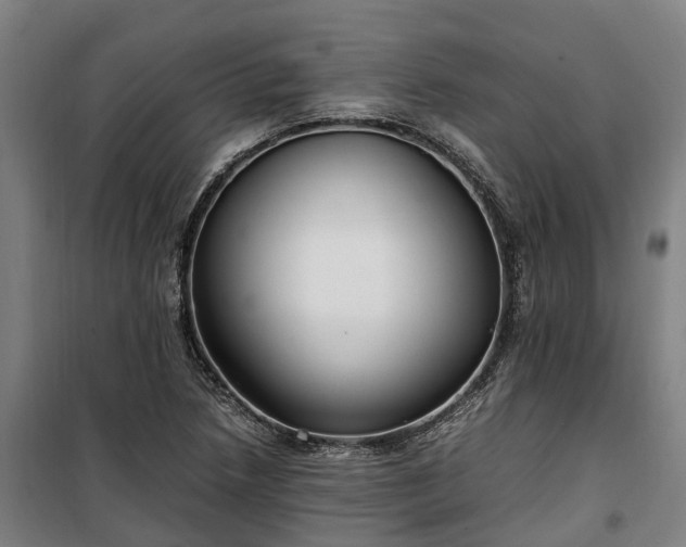 X0000100341218200806121143