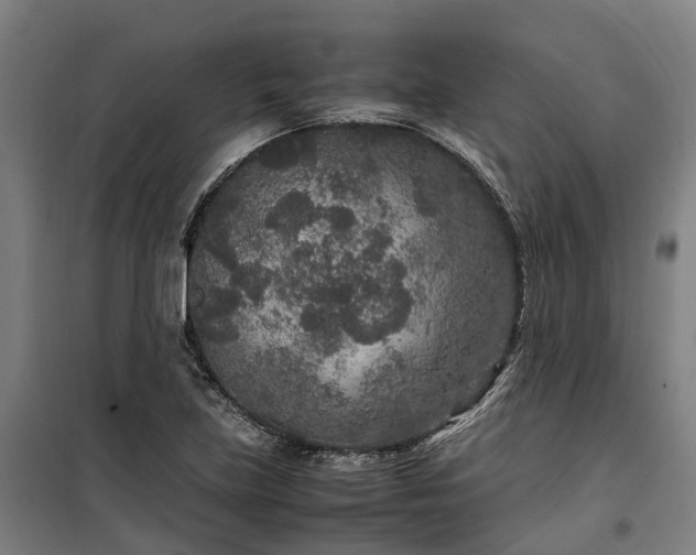 X0000100341219200806121143