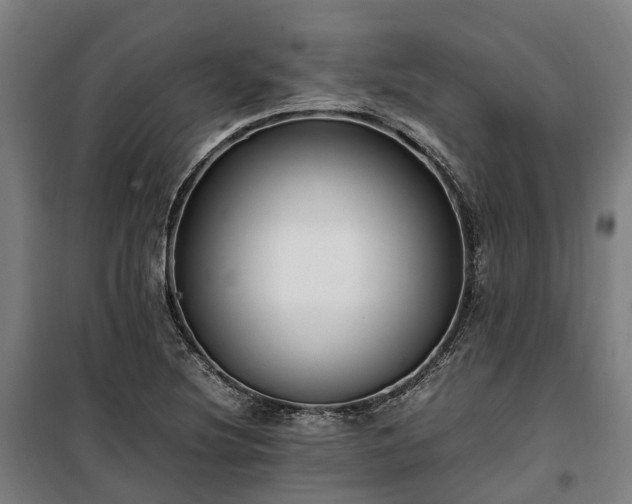 X0000100341220200806121143