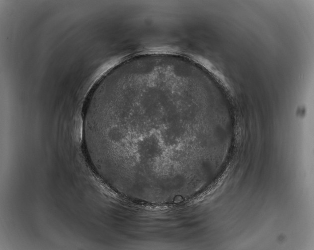 X0000100341221200806121143