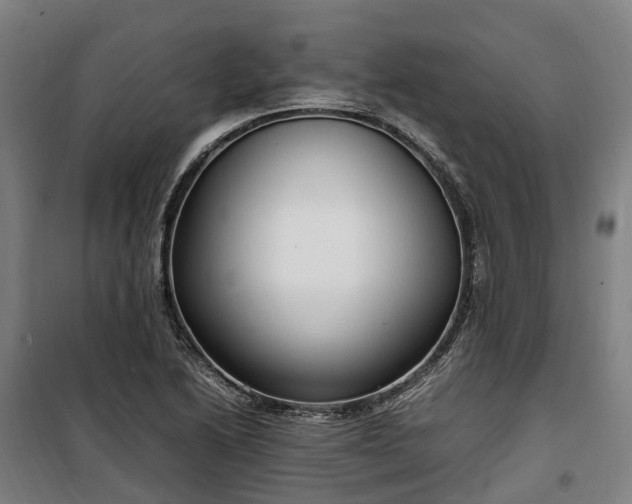 X0000100341222200806121143