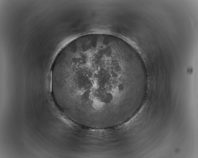 X0000100341223200806121143