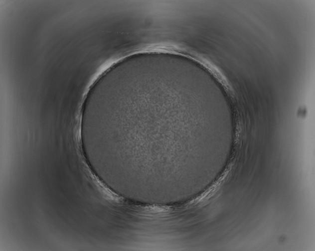 X0000100341224200806121143