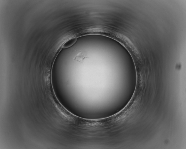 X0000100341225200806121143