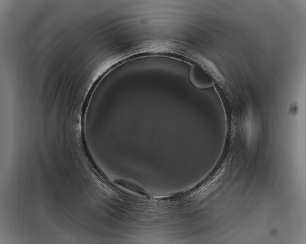 X0000100341226200806121143