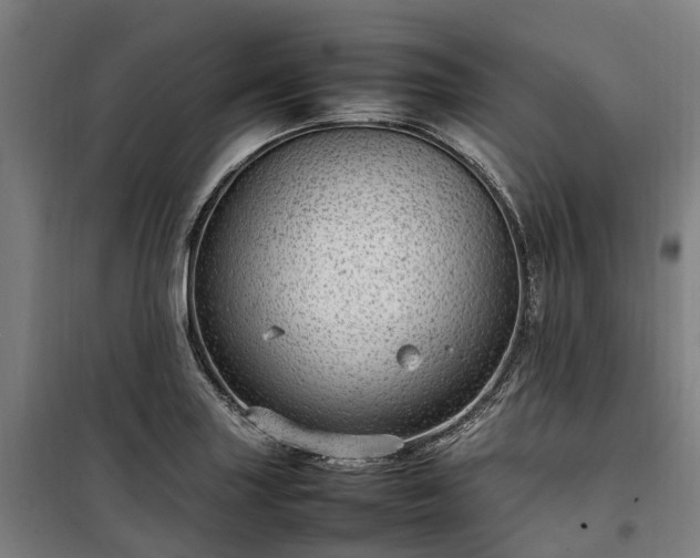 X0000100341227200806121143