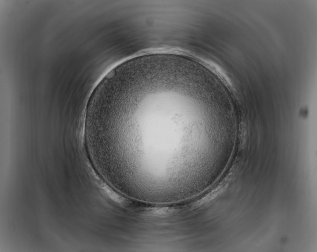 X0000100341228200806121143