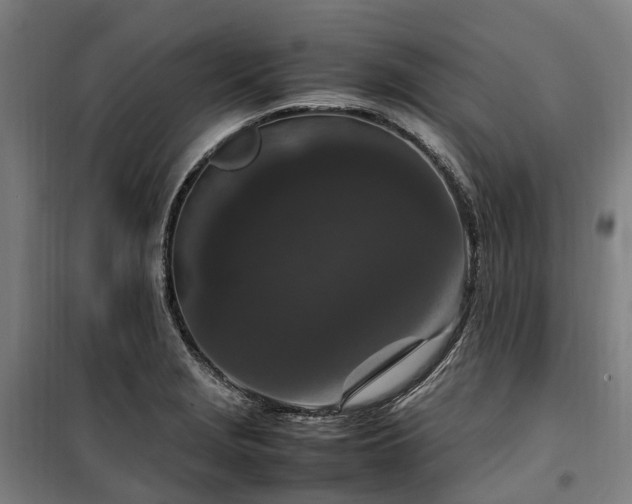 X0000100341229200806121143