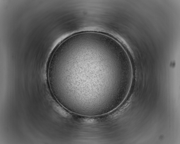 X0000100341230200806121143