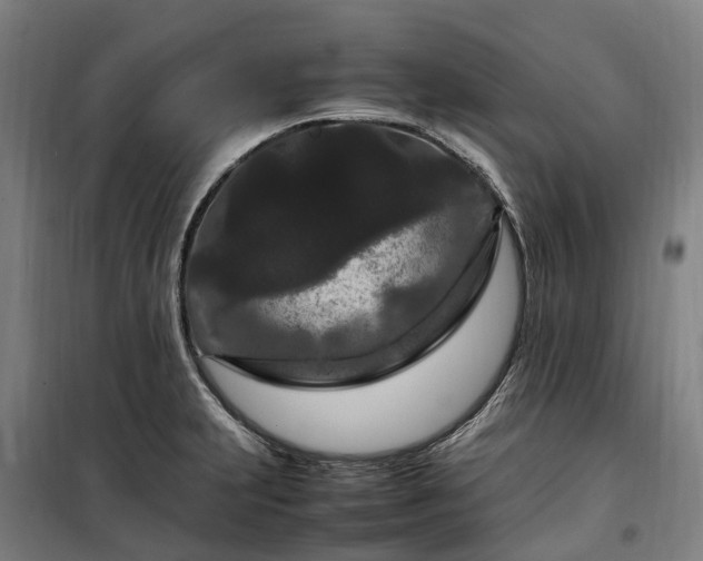 X0000100341231200806121143