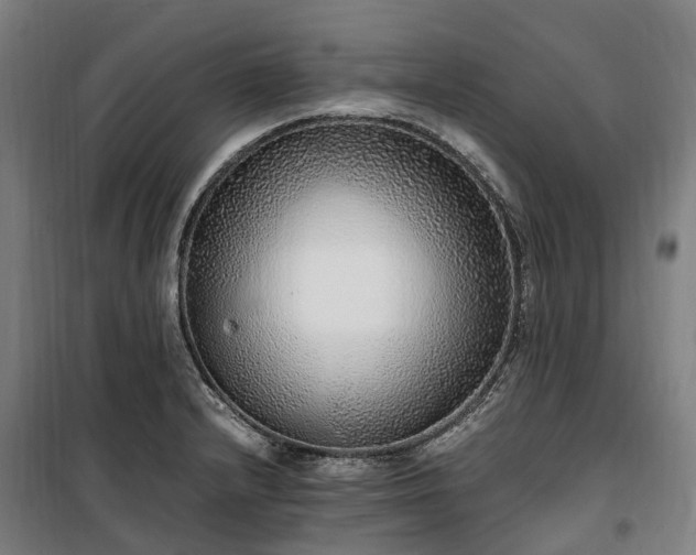 X0000100341232200806121143