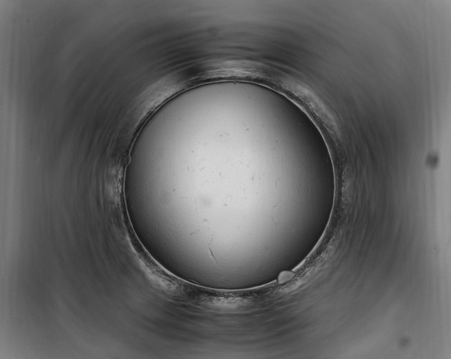 X0000100341233200806121143