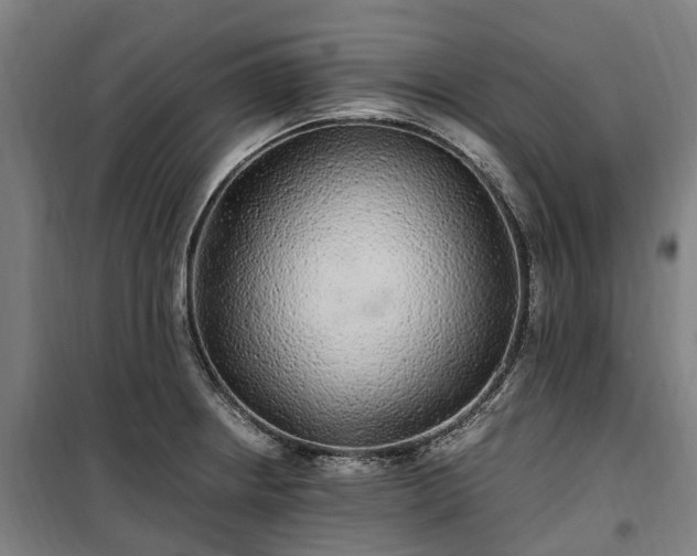 X0000100341234200806121143